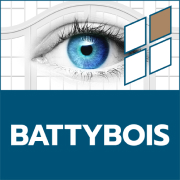 logo Battybois